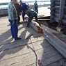 фото 28. При разборке выявилось неудовлетворительное состояние некоторых бревен фото 28. При разборке выявилось неудовлетворительное состояние некоторых бревен