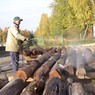 фото 27. Мытье бревен от пыли и грязи, атмосферная сушка элементов фото 27. Мытье бревен от пыли и грязи, атмосферная сушка элементов