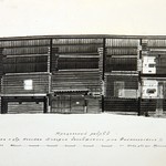 л. 15. Дом Дорохова, д. Большая Шильтя. Тех. арх. В.А. Крохин. 1950 г. Продольный разрез