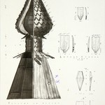 Церковь Петра и Павла, с. Чёлмужи. Проект реставрации (Арх. худ. Гнедовский Б.). Главка звонницы.