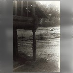 Амбар, д. Коккойла. Столб, поддерживающий галерею