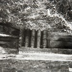 л. 14. Дом Ошевнева, д. Ошевнево. 1950 г. Обработка конца охлупня