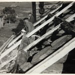 л. 22 об. Успенская церковь, г. Кондопога. 1949 г.(?) Новая кровля трапезной в процессе установки
