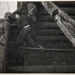 л. 22 об. Успенская церковь, г. Кондопога. 1949 г.(?) Кровля трапезной