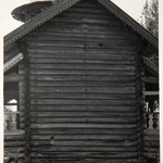 Часовня Петра и Павла, д. Волкостров. Опревание наружной поверхности стены под тесовой обшивкой.