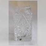 Горчичница