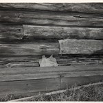 Покровская церковь, о. Кижи. Укрепление сруба на первом этапе реставрации (отрицательный опыт).