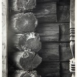 Церковь св. Варвары, с. Яндомозеро. Грибок на срубе колокольни.
