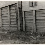 Церковь св. Варвары, с. Яндомозеро. Стены сеней и трапезной. Фрагмент.