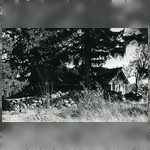 Часовня Параскевы Пятницы и Варлаама Хутынского в д.Подъельники. Вид с юго–запада