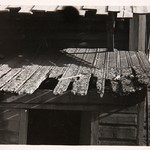 Часовня Петра и Павла, д. Волкостров. Состояние кровли.