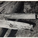 Церковь Петра и Павла, с. Лычный Остров. Реставрация сруба и кровель. Водостоки с углов четверика.