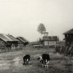 л. 35. Часовня Иоанна Предтечи, д. Нижний Падун. 1947- первая половина 1950-х гг. Общий вид