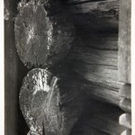 Церковь св. Варвары, с. Яндомозеро. Грибок на срубе колокольни