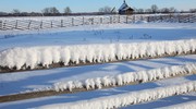 Церковь Воскрешения Лазаря
