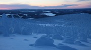 Ели в снегу, снежные фигуры