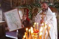 Родословная Корельских Родословная Корельских