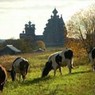 Кижи. Времена года Кижи. Времена года