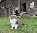 Сотрудники музея «Кижи — Елизавета Сергеевна и кот Малыш