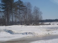 Мыс Шуйнаволок, 2010 г. Мыс Шуйнаволок, 2010 г.