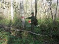 Сохранение природного наследия. Лето — 2007