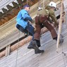 Отбор образцов микологического анализа под обшивкой колокольни Отбор образцов микологического анализа под обшивкой колокольни
