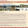 Обновленная страница раздела «Традиционная культура», посвященная земледелию Обновленная страница раздела «Традиционная культура», посвященная земледелию