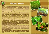 Информационный стенд экологического маршрута Природа покинутой деревни Информационный стенд экологического маршрута Природа покинутой деревни