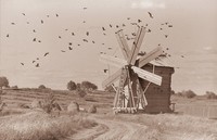 Фотография из альбома «Кижи. Альбом фотографий с натуры: чёрно-белые фотографии» Фотография из альбома «Кижи. Альбом фотографий с натуры: чёрно-белые фотографии»