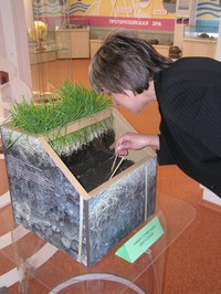 Посетители выставки