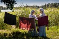 События июля и августа в музее-заповеднике «Кижи»