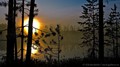 Водлозерье: Земля. Вода. Небо