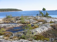 Королевство лишайников Королевство лишайников