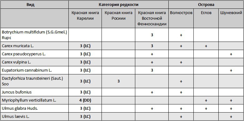 Таблица №3 Таблица №3. Редкие и охраняемые виды сосудистых растений исследуемых островов Кижского архипелага