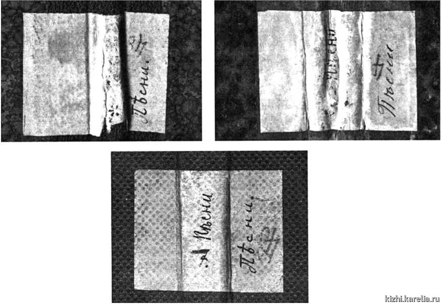 Илл.1 Рис. 1. Надписи на корешках записных книжек № 6111, 6112, 6116/1 НИОР НМБ, указывающие на их принадлежность к единой коллекции
